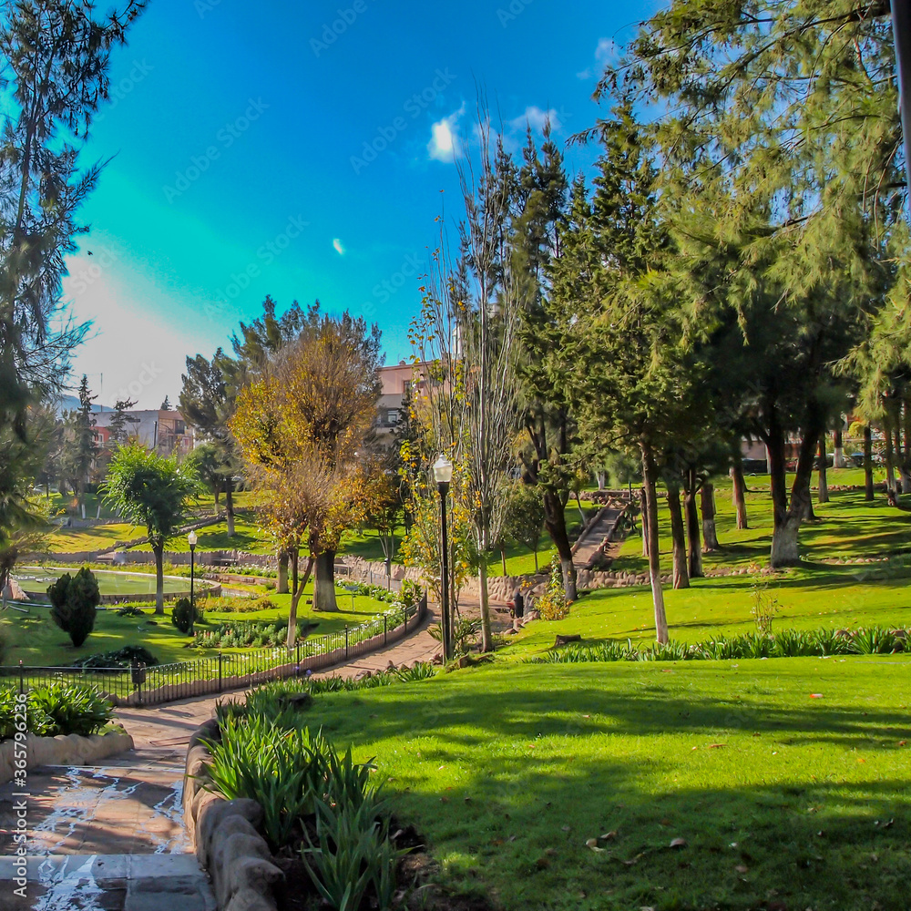 Park with stone trails between green vegetation, trees with a blue sky in Zacatecas, Mexico