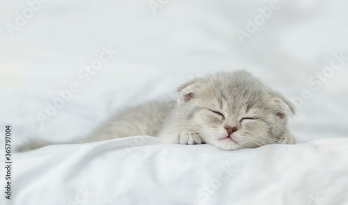 Cute kitten sleeps on a bed at home