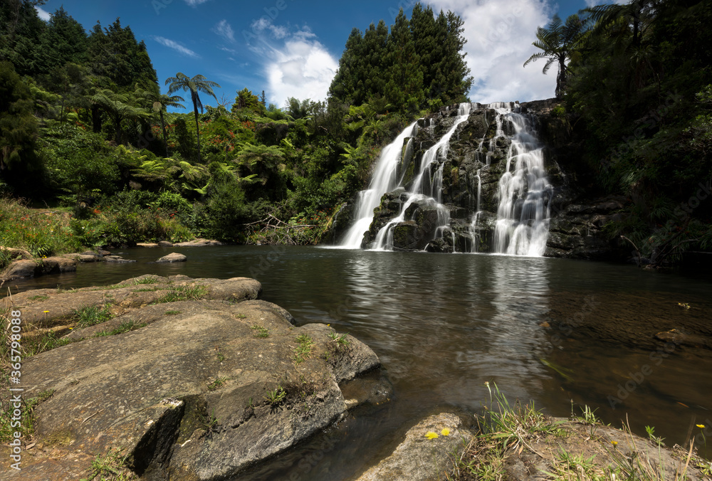 Obraz premium waterfall in the forest