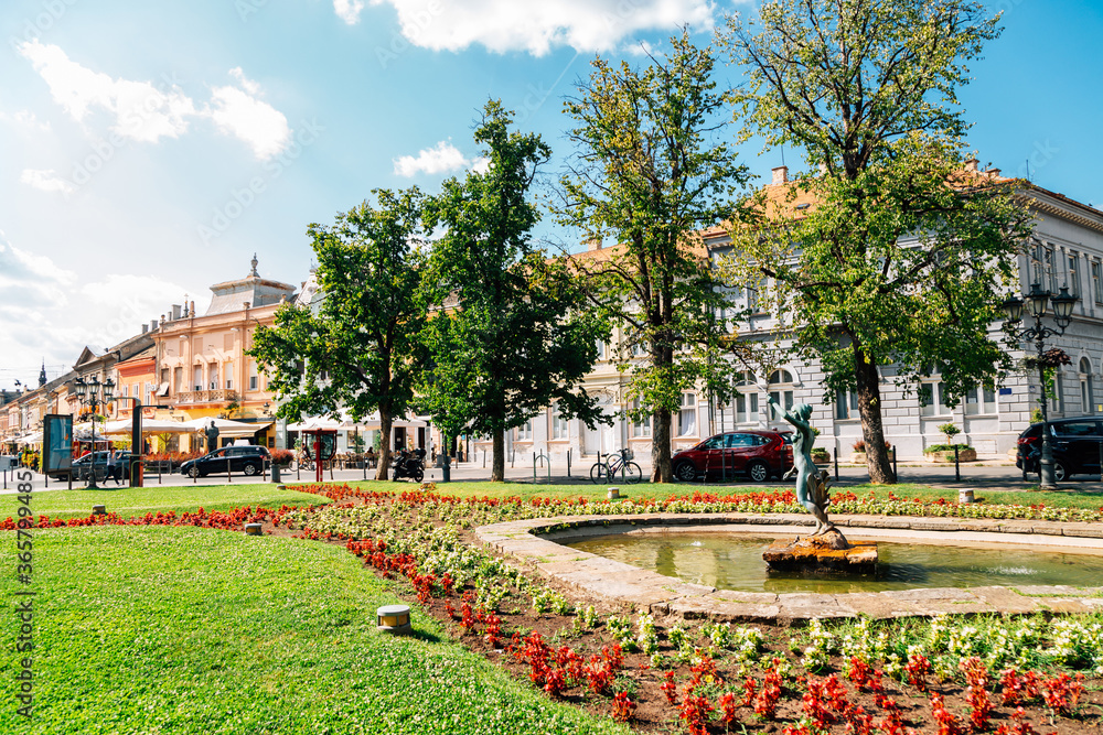 Obraz premium Dunavska street and Danube's Park in Novi Sad, Serbia