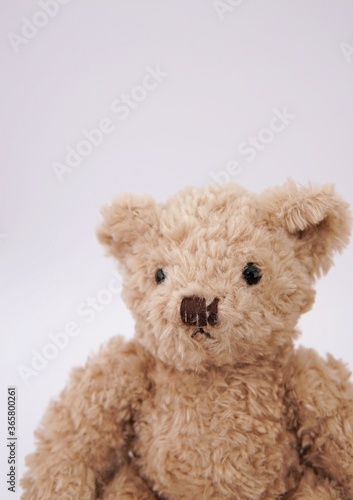 Toy teddy bear close up, toy portrait as framed art for nursery, kids room print, toys, childhood.