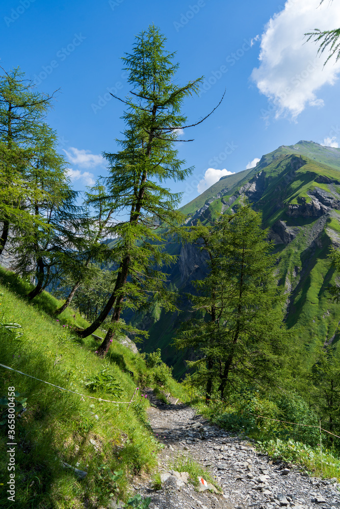 Schweiz Weisstannental Wandern