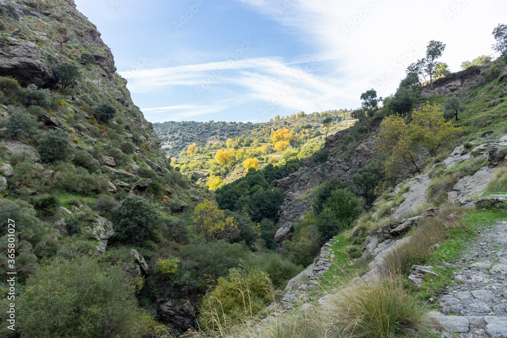 river running through mountains of stone and vegetation