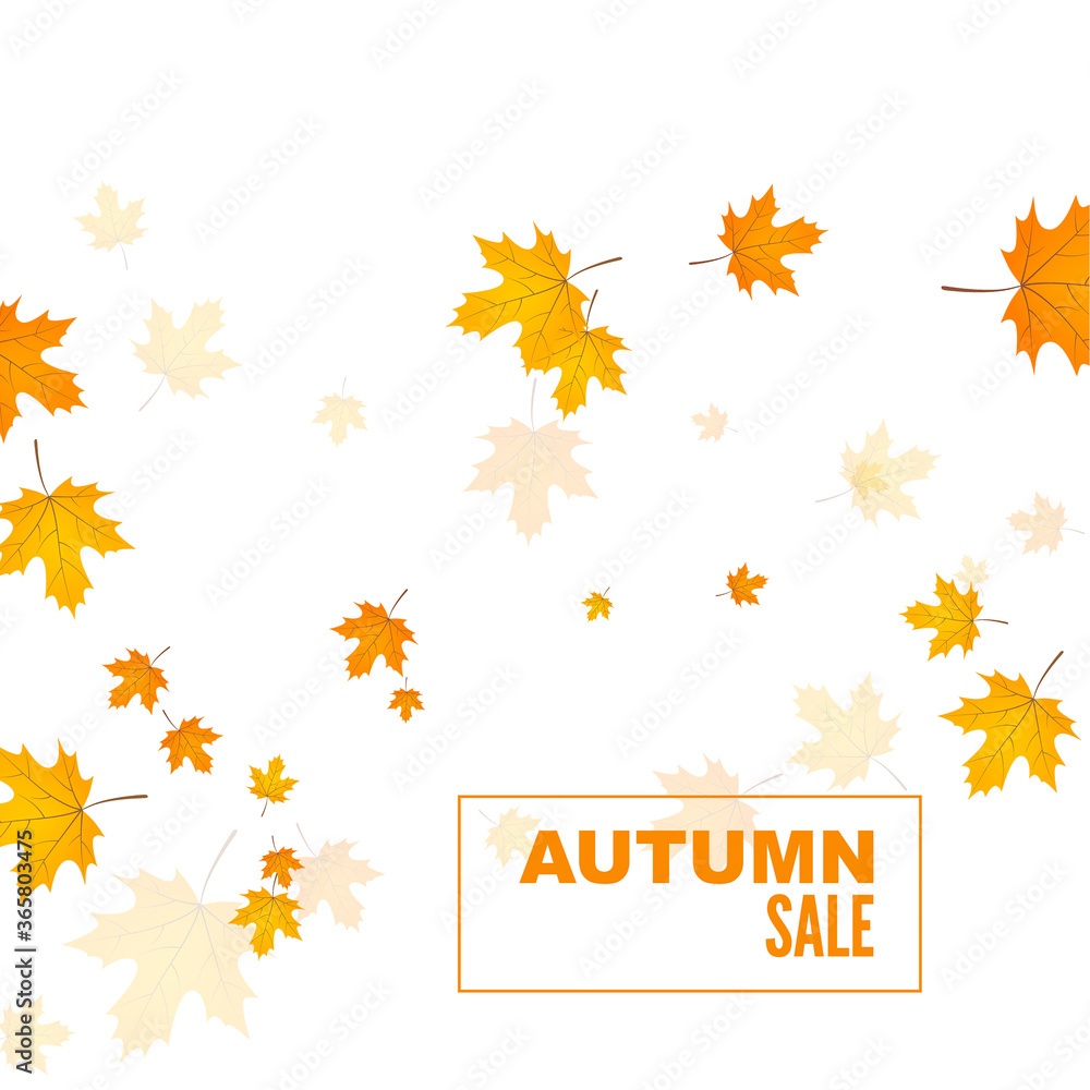 Abstract autumn background with yellow and orange leaves of maple. Vector sale banner with withered foliage. Abstract autumn background with yellow and orange leaves of maple. Vector sale banner with withered foliage.