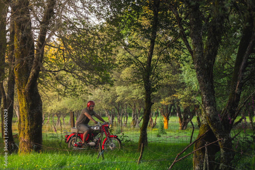 liberdade homem a andar de moto antiga vermelha pelo campo verdejante liberdade homem a andar de moto antiga vermelha pelo campo verdejante