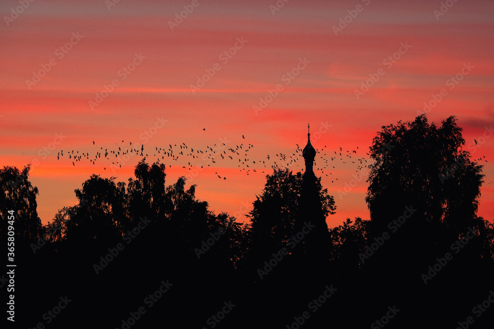 A flock of birds against the background of a Church and a red sunset. A mystical concept