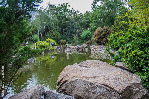 Japanese Garden from Botanical Garden of the Galati, Romania