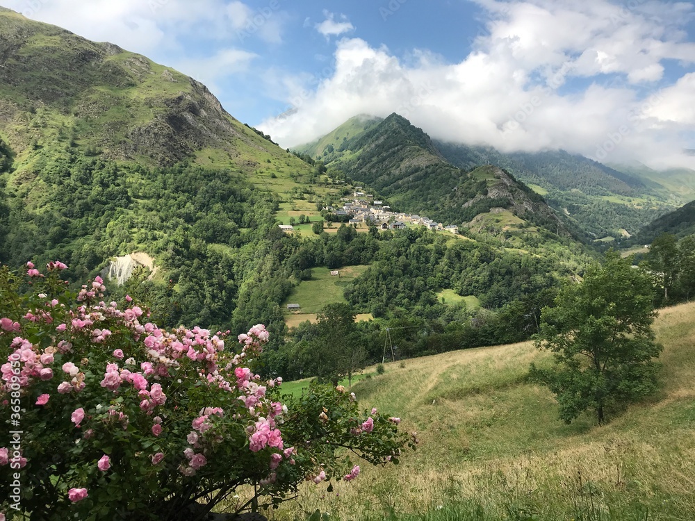 Pyrénées et été