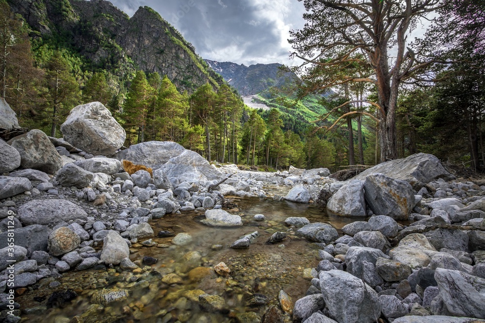 Stony riverbed of Adyl Su river with clean water, high green Caucasus mountains and evergreen forests are on the background. Kabardino-Balkaria, Russia. Stony riverbed of Adyl Su river with clean water, high green Caucasus mountains and evergreen forests are on the background. Kabardino-Balkaria, Russia.