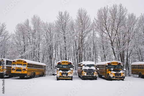 Yellow school buses covered in snow