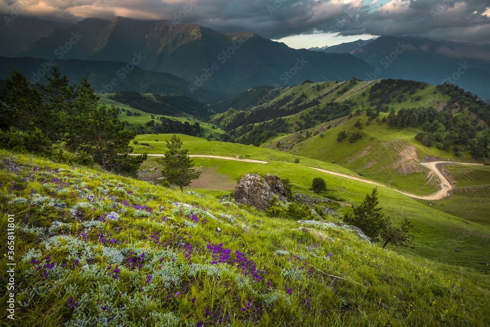Fototapeta premium Picturesque landscape of national Park Erzi in Ingushetia, Russia. Beautiful green hills and mountains peaks, road running between slopes and evening sky. The Caucasus.