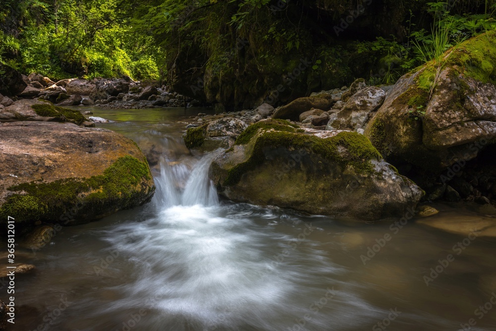 Beautiful Kurjips (Kurdzips) river flowing in shadow under big green trees between big rocks. Lagi Naki plateau in the Caucasus mountains, Russia. Beautiful Kurjips (Kurdzips) river flowing in shadow under big green trees between big rocks. Lagi Naki plateau in the Caucasus mountains, Russia.