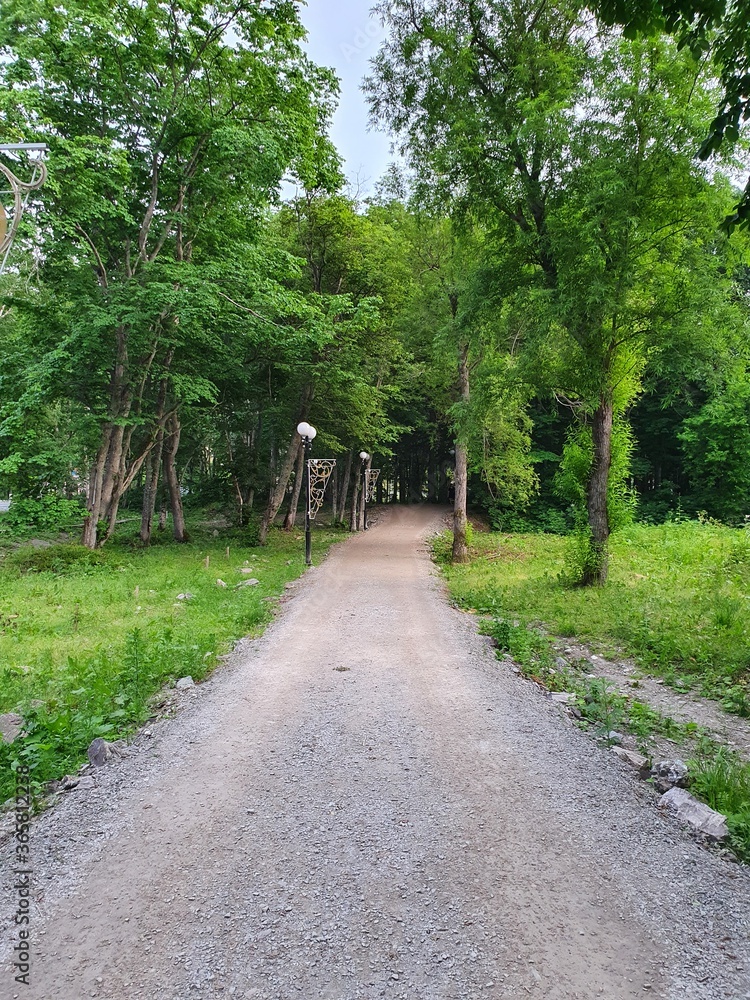 A forest trail, on which you can walk in the evening after work, also play sports: ride a bike, run, ride a scooter. A forest trail, on which you can walk in the evening after work, also play sports: ride a bike, run, ride a scooter.