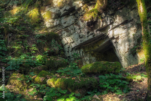 cave in the rock and sunbeams on the moss