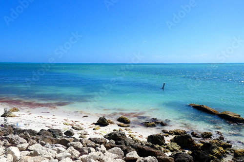 Beautiful Seascape Key West, Florida