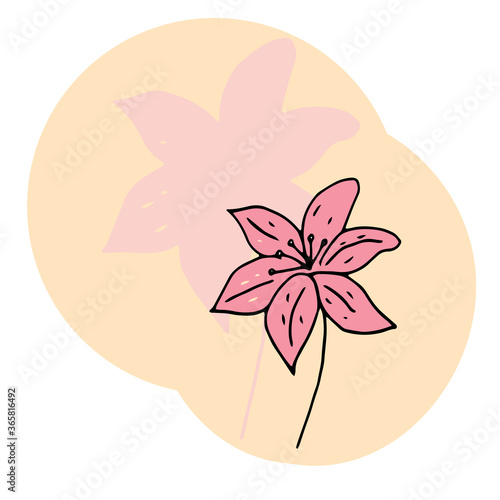 Beautiful hand-drawn flower. Red lily. Suitable for postcards, notebooks, textiles, backgrounds