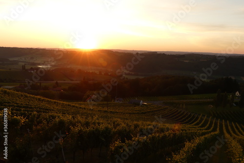 Sonnenuntergang in der steirischen Weinstra  e