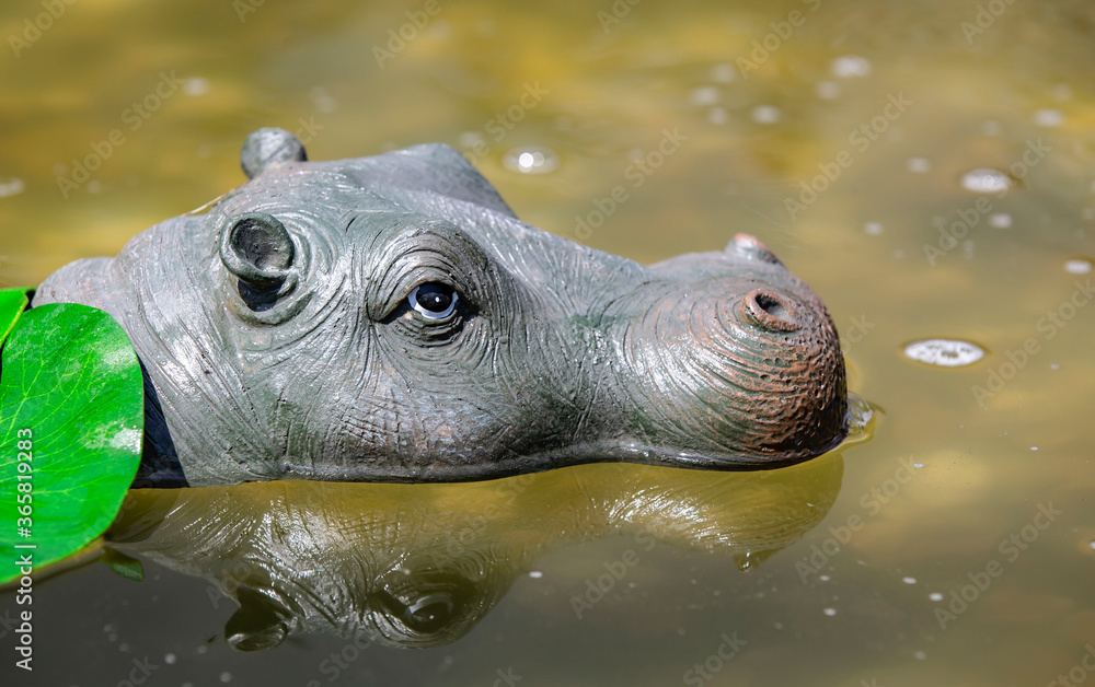 Fototapeta premium Natur, Urlaub