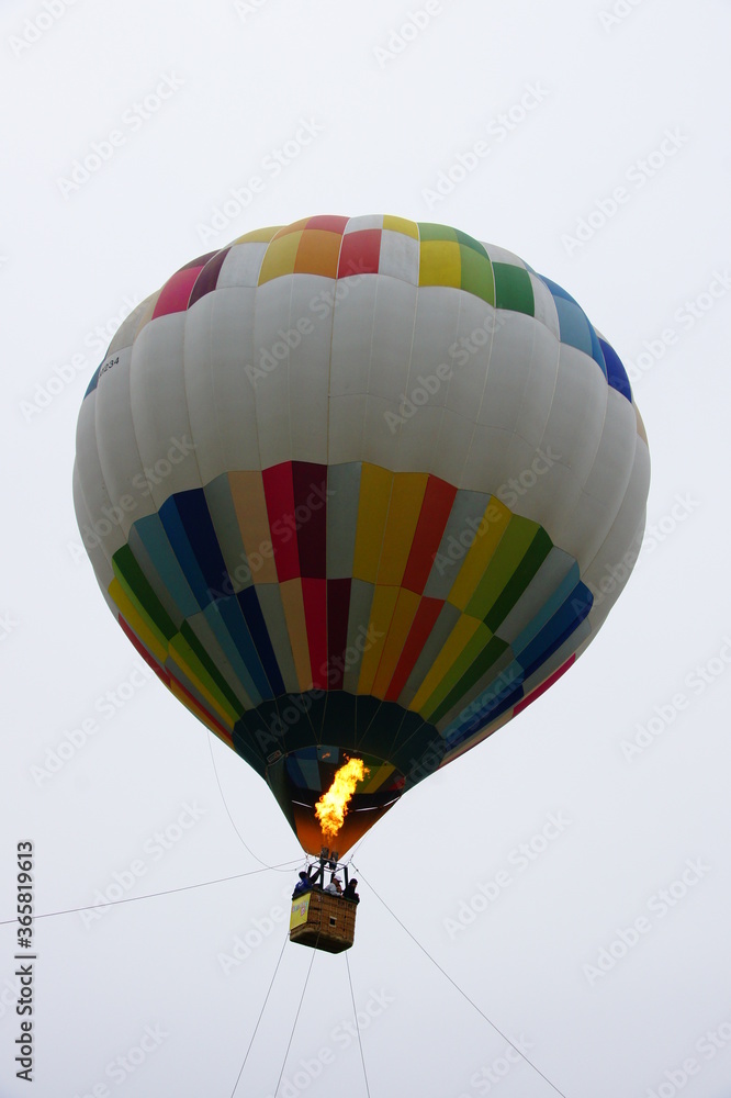 Fototapeta premium 熱気球