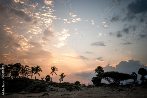 coucher de soleil et palmier en ombre chinoise sur un fond rose sur une plage du sud de l   le de Ceylan  Sri Lanka