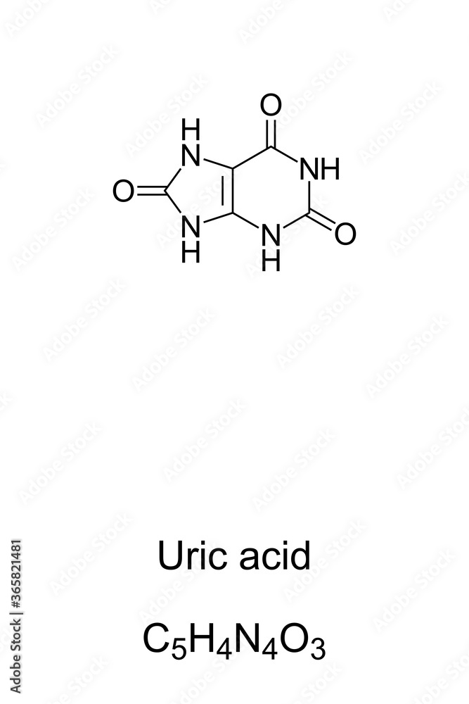 Uric acid chemical structure and formula. Product of metabolic