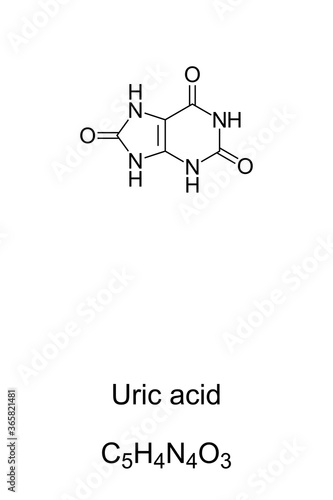 Uric acid chemical structure and formula. Product of metabolic breakdown of purine nucleotides. Normal component of urine. High blood concentrations of uric acid can lead to gout. Illustration. Vector