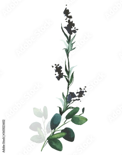 Watercolor hand painted black lavender and green eucalyptus delicate bouquet. Isolated floral arrangement on white background