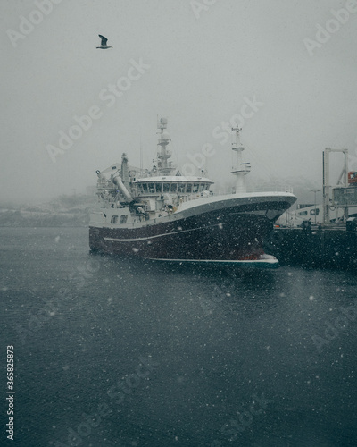 ship in harbour while it snows photo