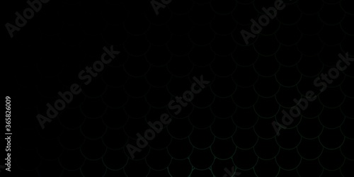 Dark Green vector texture with disks. Colorful illustration with gradient dots in nature style. New template for a brand book.