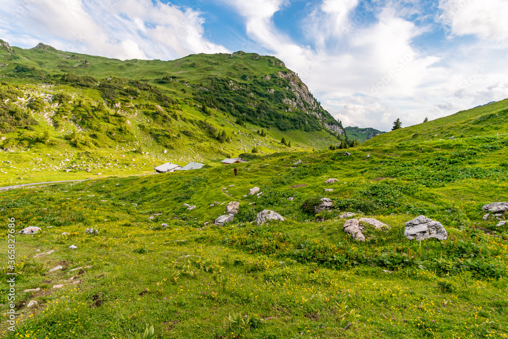 Fototapeta premium Fantastic hike in the Lechquellen Mountains in Vorarlberg Austria