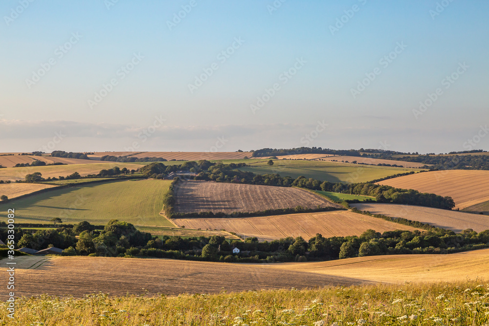 Looking out over Sussex farmland on a sunny summers evening