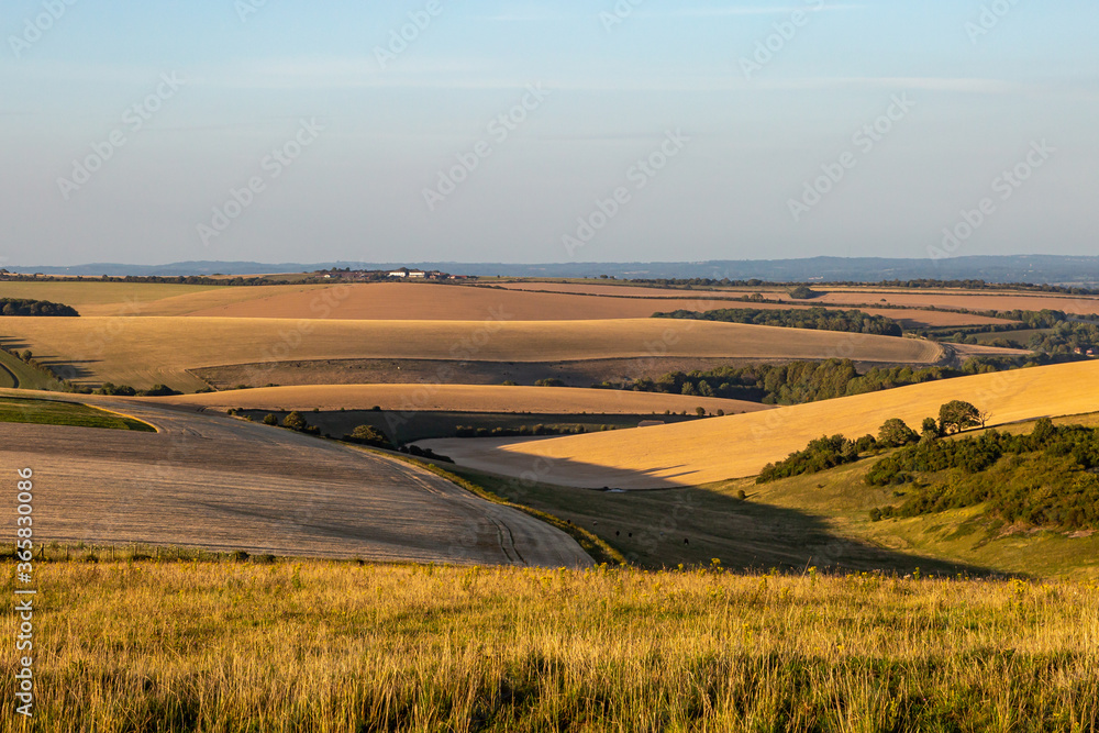 Looking out over Sussex farmland on a sunny summers evening