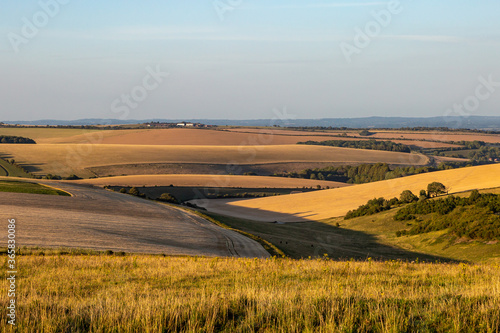 Looking out over Sussex farmland on a sunny summers evening