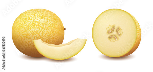 Realistic Detailed 3d Sweet Melon Set. Vector