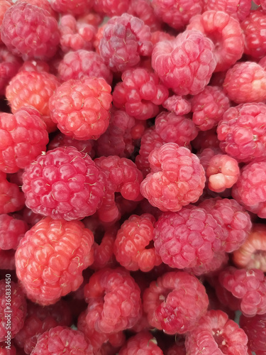 Lots of red raspberry Berries as background