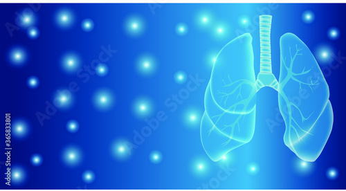 Human lungs. Vector. The internal organs of the respiratory system in the human body. Anatomy, medicine, healthcare concept. Can be used in medical materials, banners, posters, magazines.