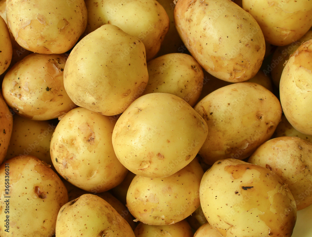 Potatoes background Raw young potatoes background. Potatoes background Raw young potatoes background.