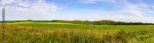 Panoramic view of the agricultural field in the background the forest line