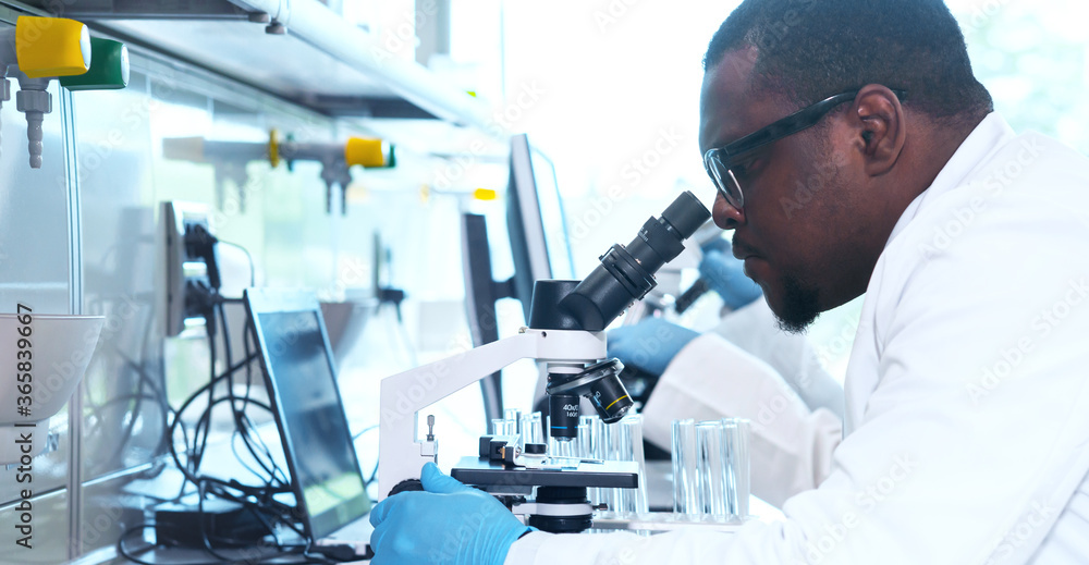 Scientist working in lab. Doctors making medical research. Biotechnology, chemistry, science, experiments and healthcare concept. Day light and window background. Scientist working in lab. Doctors making medical research. Biotechnology, chemistry, science, experiments and healthcare concept. Day light and window background.