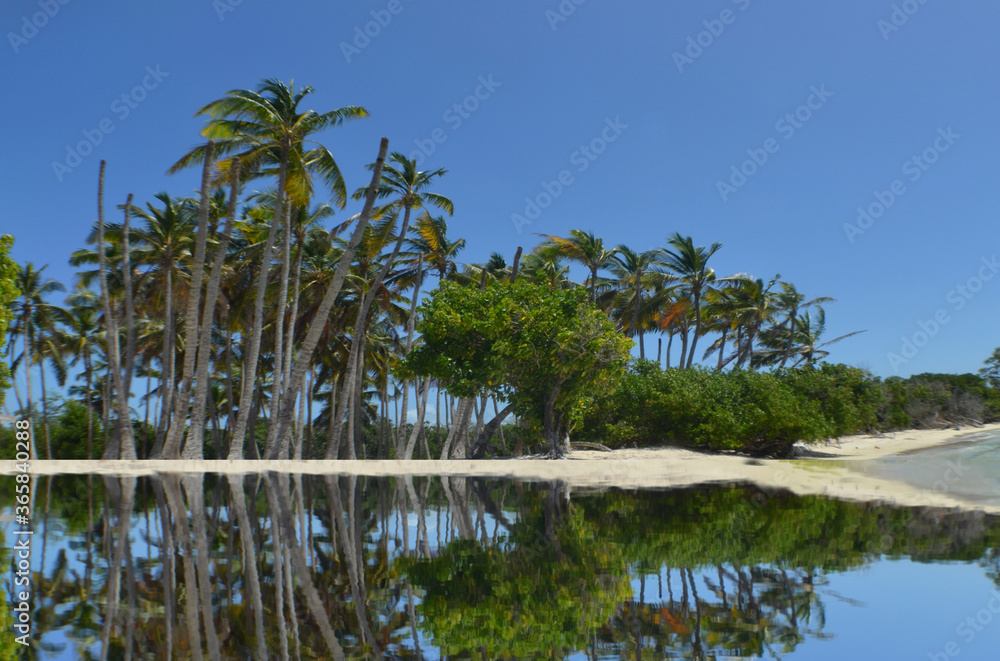 paradise beach blue sky caribbean sea Venezuela