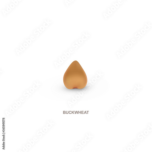 Realistic buchwheat for healthy eating. 3d render. Raster illustration on white background. photo