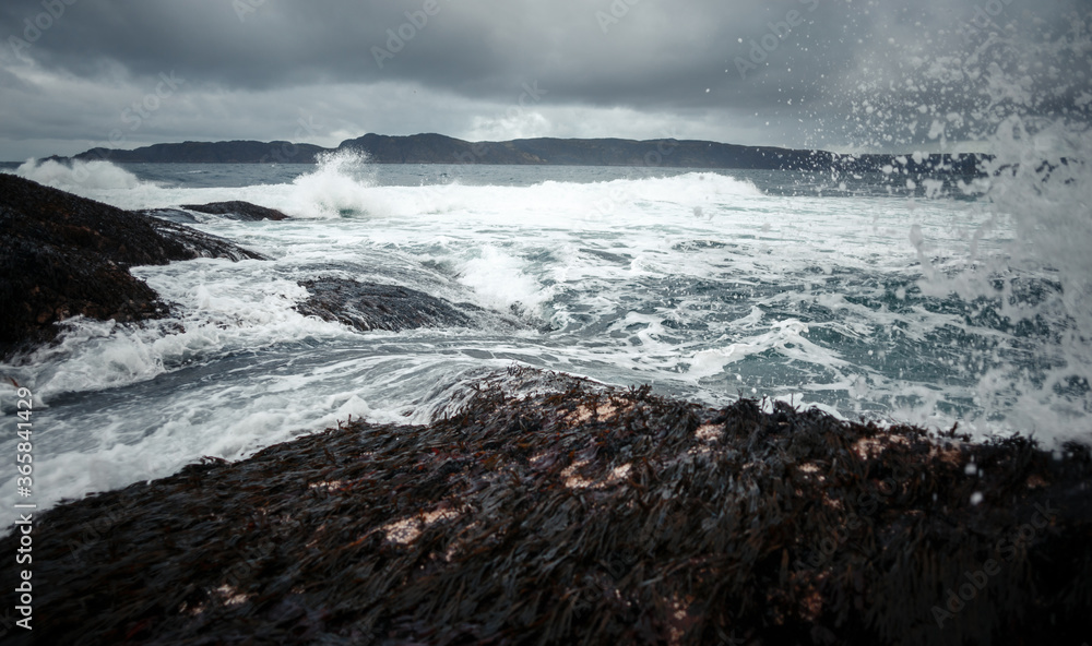 Barents Sea coast near Teriberka village, Murmansk region, Russia, autumn landscape