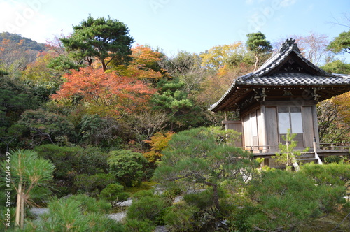 秋の京都 © IEYASU