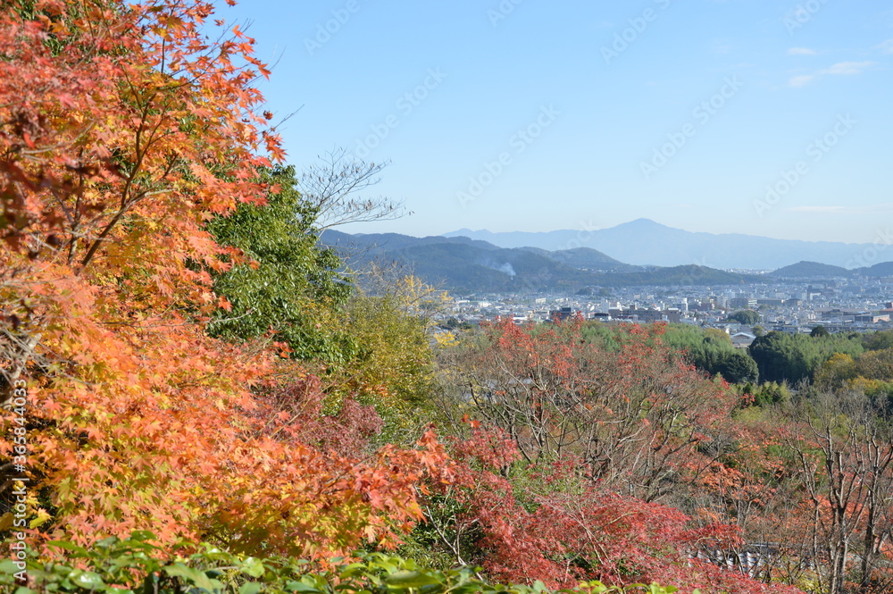 紅葉の京都
