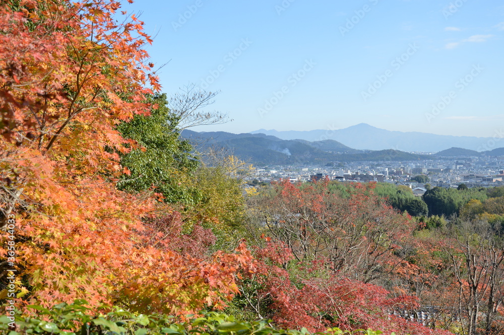 紅葉の京都
紅葉の京都