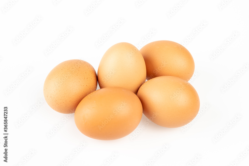 Close up of an egg isolated on white background Close up of an egg isolated on white background