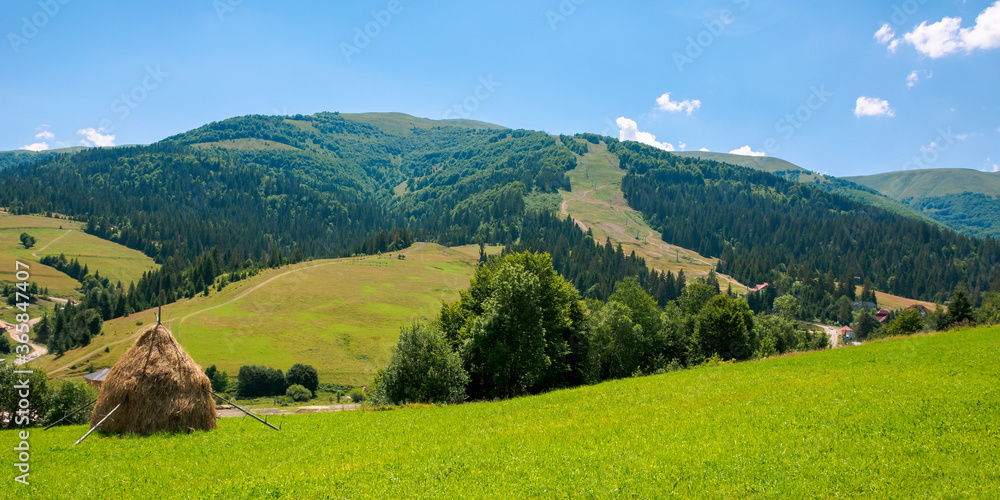 rural fields on a sunny summer day. trees on the grassy hills. beautiful countryside scenery of carpathian mountains. fluffy clouds on the blue sky