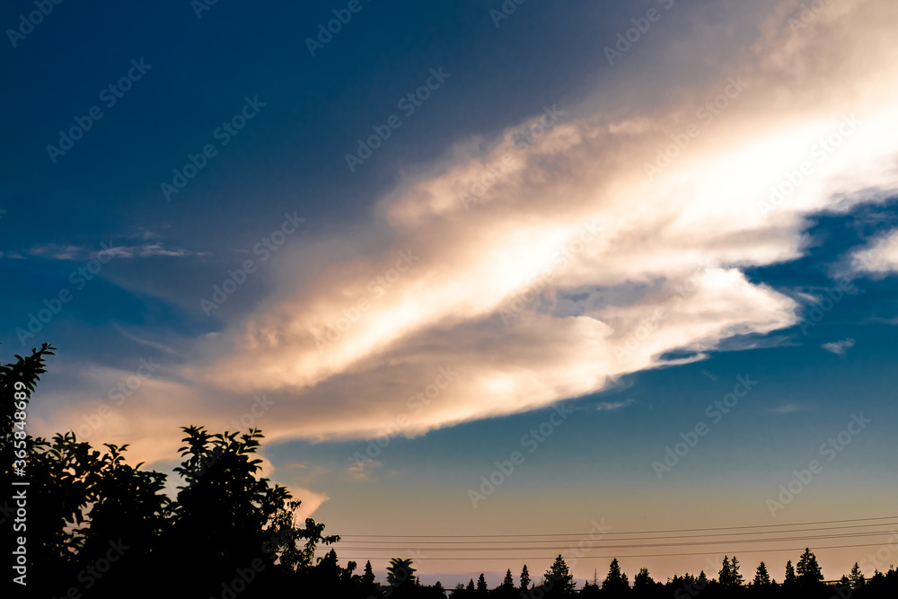 A large white cloud in a blue sky, illuminated by the sun at sunset, and below the tops of trees and wires.