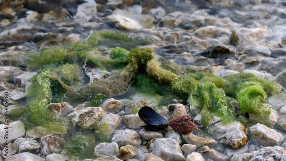 Crystal clean water washes pebbles Crystal clean water washes pebbles