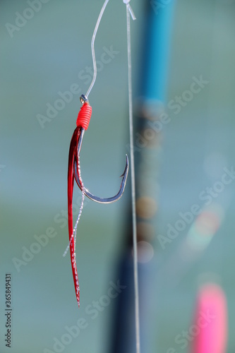 Leurre souple pour pêcheur photo